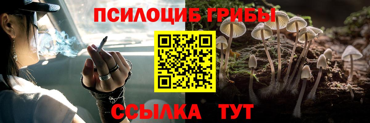 Псилоцибиновые грибы Magic Shrooms Холмск